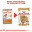 ROYAL CANIN Poodle Adult in Sobe 85 g šlapias šunų maistas suaugusiems šunims, pudeliams