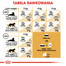 ROYAL CANIN Siamese adult 4 kg sausas maistas suaugusioms Siamo katėms