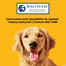 PEDIGREE Jumbone Mini skanėstai šunims 180 g