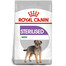ROYAL CANIN Mini Sterilised 1 kg