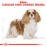 ROYAL CANIN Cavalier King Charles Spaniel Adult 7,5 kg