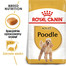 ROYAL CANIN Poodle adult 0.5 kg sausas maistas suaugusiems šunims, miniatiūriniams pudeliams