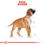 ROYAL CANIN Boxer junior 3 kg sausas maistas šuniukams iki 15 mėnesių, bokserių veislė
