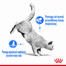 ROYAL CANIN Light Weight Care 8 kg sausas maistas suaugusioms katėms, palaikant sveiką kūno svorį