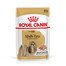ROYAL CANIN Shih Tzu Adult Loaf šlapias maistas 12 x 85 g gabalėliai padaže, skirti suaugusiesiems ših tzu šunims
