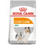 ROYAL CANIN CCN Mini Coat Care sausas maistas suaugusiesiems, mažoms veislėms su matiniu kailiu 16 kg (2 x 8 kg)