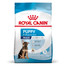 ROYAL CANIN Maxi Puppy  30 kg ( 2 x 15 kg) sausas maistas šuniukams nuo 2 iki 15 mėnesių amžiaus, didelės veislės