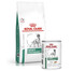 ROYAL CANIN Dog satiety support 6 kg antsvorio turintis šunų maistas + 12 x Satiety Weight Management 410g