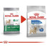 ROYAL CANIN CCN Mini Light Weight Care sausas maistas suaugusiesiems, mažoms veislėms, linkęs į antsvorį 16 kg (2 x 8 kg)