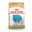 ROYAL CANIN French Bulldog Puppy Junior šlapias sausas maistas šuniukams iki 12 mėnesių amžiaus, prancūzų buldogų 20 kg (2 x 10 kg)