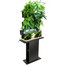 AQUAEL sieninis modulis versa garden plus