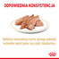 ROYAL CANIN Pomeranian Adult 85g šlapias maistas, paštetas suaugusiesiems miniatiūriniams špicų šunims