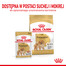 ROYAL CANIN Pomeranian Adult 85g šlapias maistas, paštetas suaugusiesiems miniatiūriniams špicų šunims
