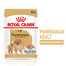 ROYAL CANIN Pomeranian Adult 85g šlapias maistas, paštetas suaugusiesiems miniatiūriniams špicų šunims