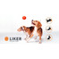 LIKER Dog toy šuns kamuoliukas 7 cm