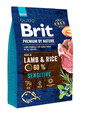 BRIT Premium By Nature Sensitive Lamb & Rice 3 kg