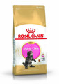 Royal Canin Maine Coon Kitten 0,4 kg