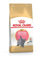 Royal Canin Kitten British Shorthair 0.4 kg