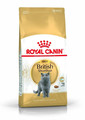 Royal Canin British Shorthair Adult 2 kg