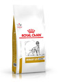 ROYAL CANIN Dog Urinary S/O +7 8 kg