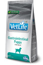 FARMINA VetLife Dog Puppy Gastrointestinal Puppy Šuniukų dietinis maistas 12 kg