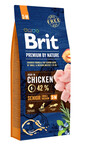 BRIT Premium By Nature Senior Small Medium S+M Chicken 15 kg
