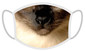FERA Apsauginė kaukė Siamo katė