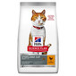 HILL'S Science Plan Young Adult Sterilised Cat Sausas kačių maistas su vištiena 10 kg