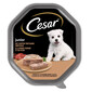 CESAR Junior 150 g kalakutienos ir veršienos paštetas šuniukams