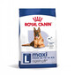 ROYAL CANIN Maxi Ageing 8+ 15 kg sausas ėdalas suaugusiems didelių veislių šunims nuo 8 metų