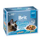 BRIT Premium by Nature Cat Delicate Fillets in Gravy Family Plate 12x85g drėgnas maistas padaže suaugusiems katėms