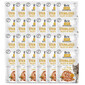 CARE Fillets in Gravy Pouch Sterilized Savory Salmon&Tuna 24x85g z łososiem i tuńczykiem dla kotów sterylizowanych