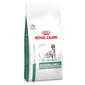 ROYAL CANIN VHN Dog Glycobalance 12 kg dietetyczna karma dla psów z cukrzycą