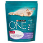 PURINA ONE COAT & HAIRBALL kurczak i pełne ziarna 800g