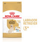 ROYAL CANIN Labrador Retriever Adult 5+ 3 kg sausas maistas  suaugusiems Jorkšyro terjerams, vyresniems nei 5 metai
